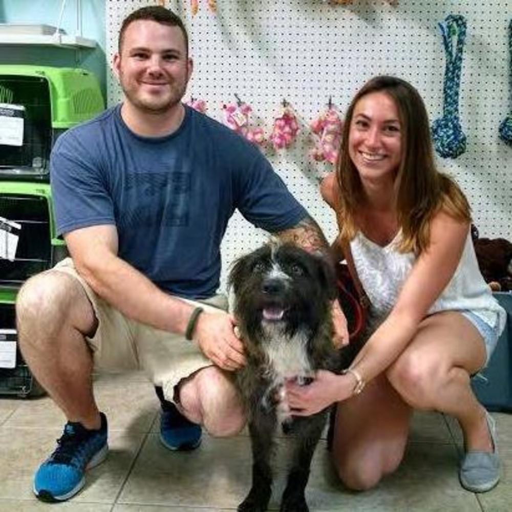 Meet your Posher, John